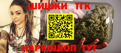 стаф Камышлов
