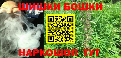 стаф Камышлов