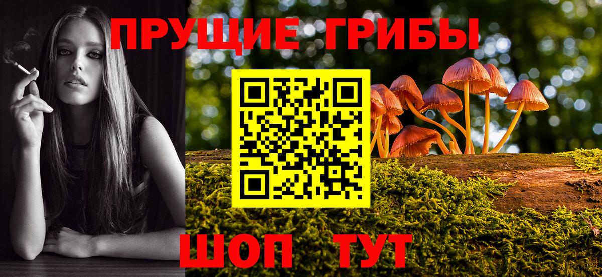 Галлюциногенные грибы Psilocybine cubensis  Вход с VPN  Галлюциногенные грибы ЛСД  Чапаевск 