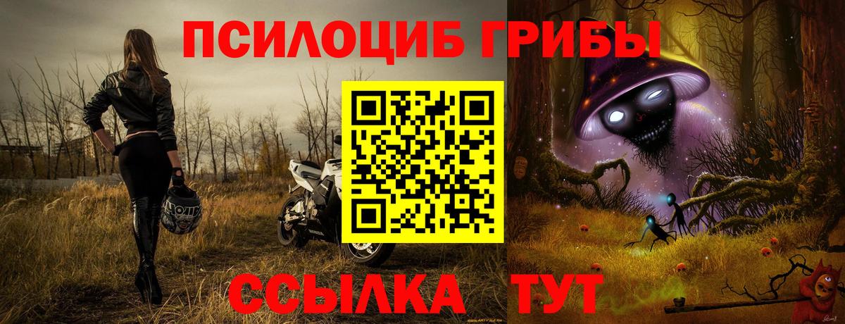 Галлюциногенные грибы прущие грибы Чапаевск
